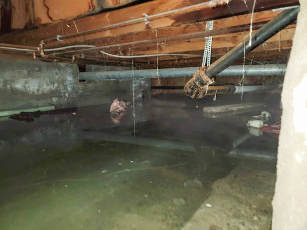 Best Professional water damage repair  in Fairmount, GA