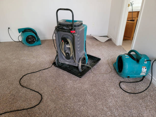 Best Fire Damage Restoration  in Fairmount, GA