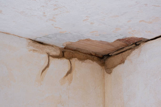 Best Sewage cleanup and water damage restoration  in Fairmount, GA