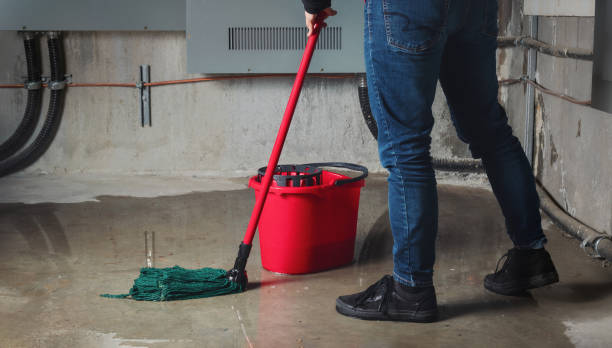 Best Professional water damage repair  in Fairmount, GA