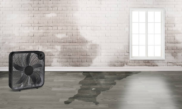 Best Water damage restoration near me  in Fairmount, GA