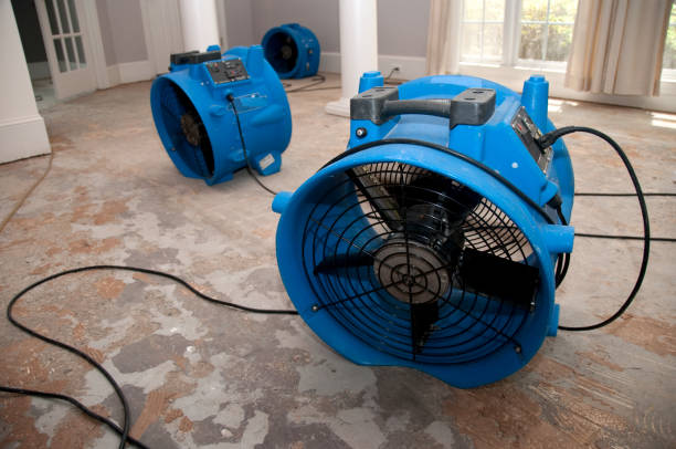 Best Carpet water damage restoration  in Fairmount, GA