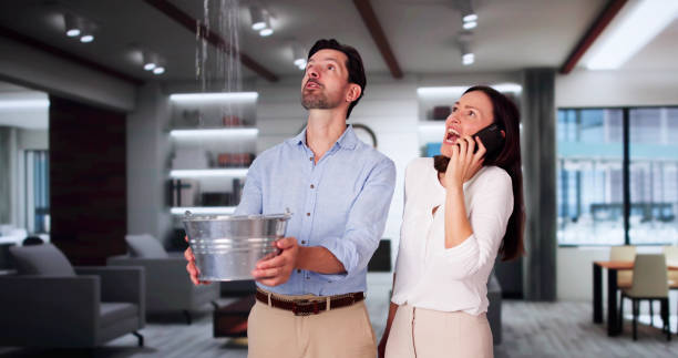 Best Carpet water damage restoration  in Fairmount, GA