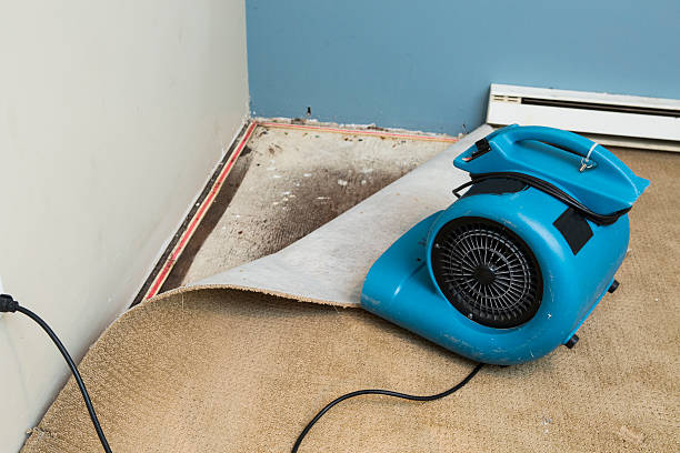 Best Residential water damage restoration  in Fairmount, GA